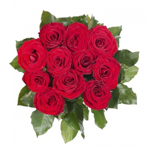 Bouquet de 25 rosas