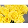 Rosas amarillas