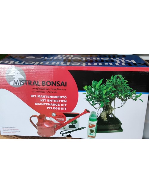 Kit de mantenimiento de bonsái