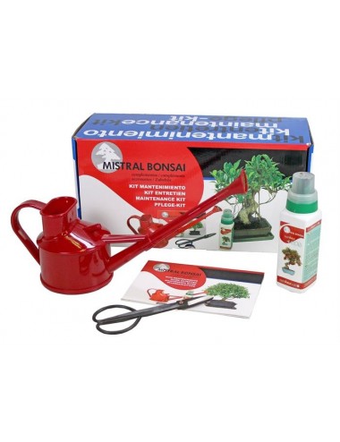 Kit de mantenimiento de bonsái